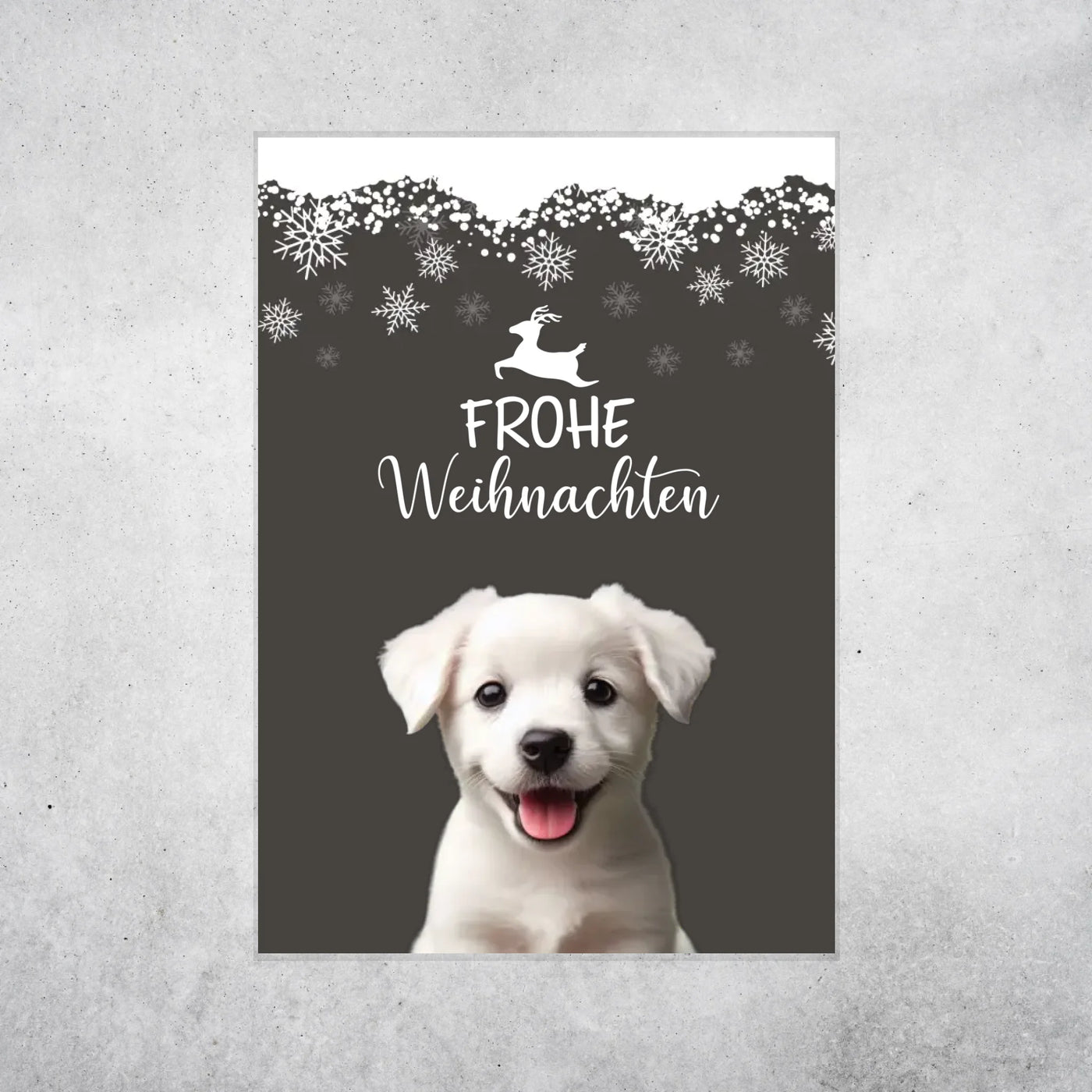 Poster 20x30