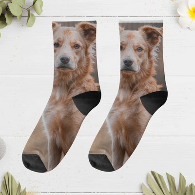 socks mockup tinyfied